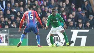 Premier League Showdown: Crystal Palace vs. Brighton and Hove Albion at Selhurst Park (9th March 2019)