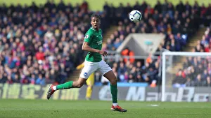 Premier League Showdown: Crystal Palace vs. Brighton and Hove Albion at Selhurst Park (9th March 2019)