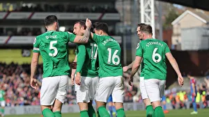 Premier League Showdown: Crystal Palace vs. Brighton and Hove Albion at Selhurst Park (9th March 2019)