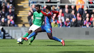 Premier League Showdown: Crystal Palace vs. Brighton and Hove Albion at Selhurst Park (9th March 2019)