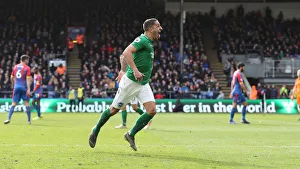 Premier League Showdown: Crystal Palace vs. Brighton and Hove Albion at Selhurst Park (9th March 2019)