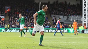 Premier League Showdown: Crystal Palace vs. Brighton and Hove Albion at Selhurst Park (9th March 2019)
