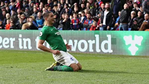 Premier League Showdown: Crystal Palace vs. Brighton and Hove Albion at Selhurst Park (9th March 2019)