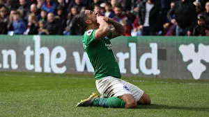 Premier League Showdown: Crystal Palace vs. Brighton and Hove Albion at Selhurst Park (9th March 2019)