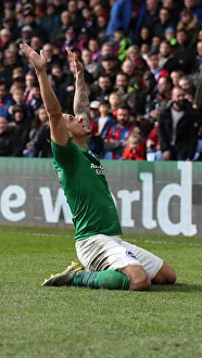 Premier League Showdown: Crystal Palace vs. Brighton and Hove Albion at Selhurst Park (9th March 2019)
