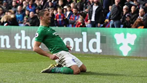 Premier League Showdown: Crystal Palace vs. Brighton and Hove Albion at Selhurst Park (9th March 2019)