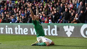 Premier League Showdown: Crystal Palace vs. Brighton and Hove Albion at Selhurst Park (9th March 2019)