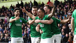 Premier League Showdown: Crystal Palace vs. Brighton and Hove Albion at Selhurst Park (9th March 2019)