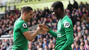 Premier League Showdown: Crystal Palace vs. Brighton and Hove Albion at Selhurst Park (9th March 2019)