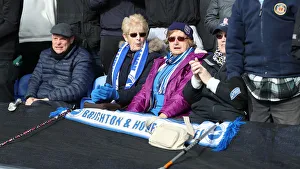 Premier League Showdown: Crystal Palace vs. Brighton and Hove Albion at Selhurst Park (9th March 2019)