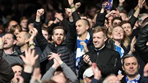 Premier League Showdown: Crystal Palace vs. Brighton and Hove Albion at Selhurst Park (9th March 2019)