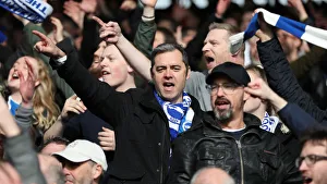 Premier League Showdown: Crystal Palace vs. Brighton and Hove Albion at Selhurst Park (9 March 2019)