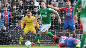 Premier League Showdown: Crystal Palace vs. Brighton and Hove Albion at Selhurst Park (9th March 2019)