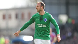 Premier League Showdown: Crystal Palace vs. Brighton and Hove Albion at Selhurst Park (9th March 2019)