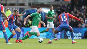Premier League Showdown: Crystal Palace vs. Brighton and Hove Albion at Selhurst Park (9th March 2019)