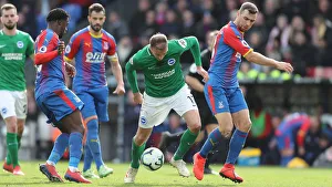 Premier League Showdown: Crystal Palace vs. Brighton and Hove Albion at Selhurst Park (9 March 2019)