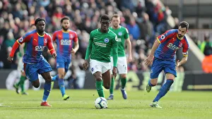 Premier League Showdown: Crystal Palace vs. Brighton and Hove Albion at Selhurst Park (9th March 2019)