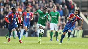Premier League Showdown: Crystal Palace vs. Brighton and Hove Albion at Selhurst Park (9th March 2019)