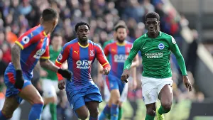 Premier League Showdown: Crystal Palace vs. Brighton and Hove Albion at Selhurst Park (9th March 2019)