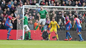 Premier League Showdown: Crystal Palace vs. Brighton and Hove Albion at Selhurst Park (9th March 2019)