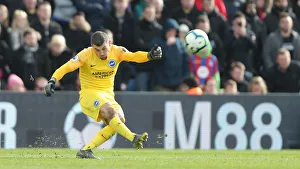 Premier League Showdown: Crystal Palace vs. Brighton and Hove Albion at Selhurst Park (9th March 2019)