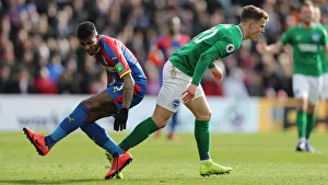 Premier League Showdown: Crystal Palace vs. Brighton and Hove Albion at Selhurst Park (9th March 2019)