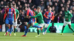Premier League Showdown: Crystal Palace vs. Brighton and Hove Albion at Selhurst Park (9th March 2019)