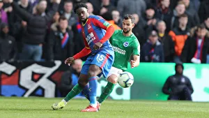 Premier League Showdown: Crystal Palace vs. Brighton and Hove Albion at Selhurst Park (9th March 2019)