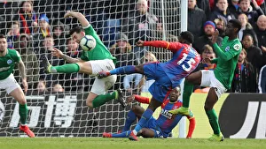 Premier League Showdown: Crystal Palace vs. Brighton and Hove Albion at Selhurst Park (9th March 2019)