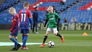 Premier League Showdown: Crystal Palace vs. Brighton and Hove Albion at Selhurst Park (9th March 2019)