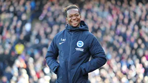 Premier League Showdown: Crystal Palace vs. Brighton and Hove Albion at Selhurst Park (9th March 2019)