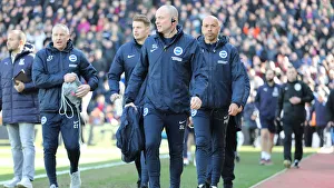 Premier League Showdown: Crystal Palace vs. Brighton and Hove Albion at Selhurst Park (9th March 2019)