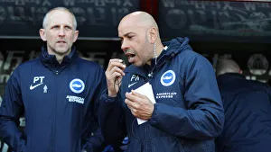 Premier League Showdown: Crystal Palace vs. Brighton and Hove Albion at Selhurst Park (9th March 2019)