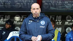 Premier League Showdown: Crystal Palace vs. Brighton and Hove Albion at Selhurst Park (9th March 2019)