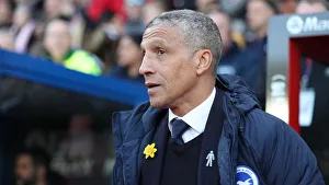 Premier League Showdown: Crystal Palace vs. Brighton and Hove Albion at Selhurst Park (9th March 2019)