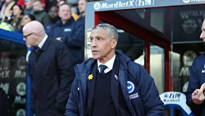 Premier League Showdown: Crystal Palace vs. Brighton and Hove Albion at Selhurst Park (9th March 2019)