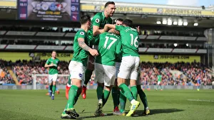 Premier League Showdown: Crystal Palace vs. Brighton and Hove Albion at Selhurst Park (9th March 2019)