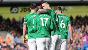 Premier League Showdown: Crystal Palace vs. Brighton and Hove Albion at Selhurst Park (9th March 2019)
