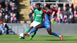 Premier League Showdown: Crystal Palace vs. Brighton and Hove Albion at Selhurst Park (9th March 2019)