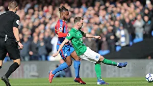 Premier League Showdown: Crystal Palace vs. Brighton and Hove Albion at Selhurst Park (9th March 2019)