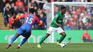 Premier League Showdown: Crystal Palace vs. Brighton and Hove Albion at Selhurst Park (9th March 2019)