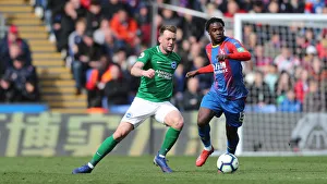 Premier League Showdown: Crystal Palace vs. Brighton and Hove Albion at Selhurst Park (9th March 2019)