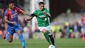 Premier League Showdown: Crystal Palace vs. Brighton and Hove Albion at Selhurst Park (9th March 2019)