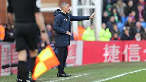 Premier League Showdown: Crystal Palace vs. Brighton and Hove Albion at Selhurst Park (9th March 2019)