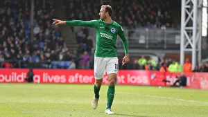 Premier League Showdown: Crystal Palace vs. Brighton and Hove Albion at Selhurst Park (9th March 2019)