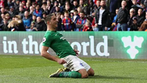 Premier League Showdown: Crystal Palace vs. Brighton and Hove Albion at Selhurst Park (9th March 2019)