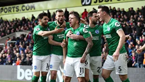 Premier League Showdown: Crystal Palace vs. Brighton and Hove Albion at Selhurst Park (9th March 2019)