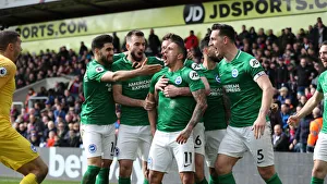 Premier League Showdown: Crystal Palace vs. Brighton and Hove Albion at Selhurst Park (9th March 2019)