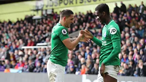 Premier League Showdown: Crystal Palace vs. Brighton and Hove Albion at Selhurst Park (9th March 2019)