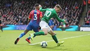 Premier League Showdown: Crystal Palace vs. Brighton and Hove Albion at Selhurst Park (9th March 2019)